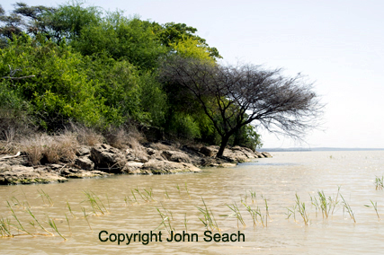 baringo