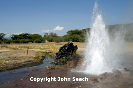  lake bogoria, kenya