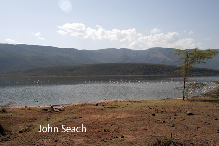 lake bogoria kenya