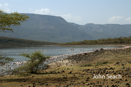 lake bogoria volcano kenya