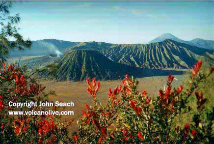 bromo