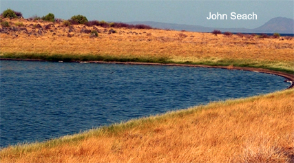 central island turkana