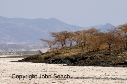 magadi