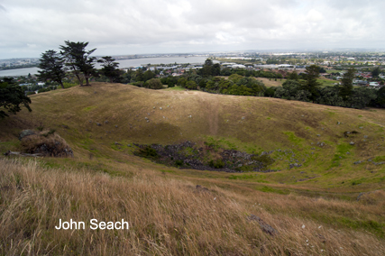 Mt Mangere