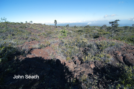 mauna loa volcano