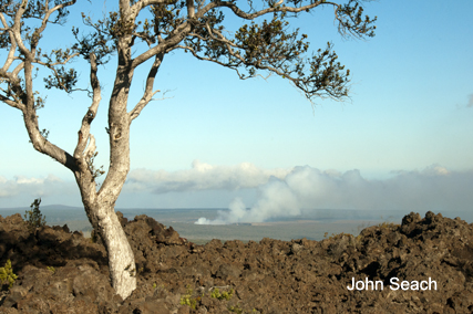 mauna loa volcano