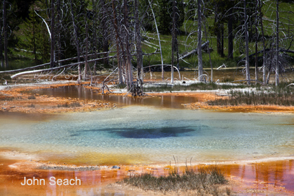 yellowstone