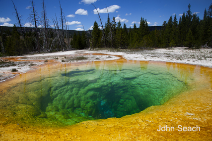 yellowstone volcano